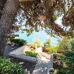 Bok * Trogir