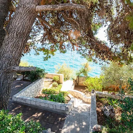 Apartament Bok Trogir